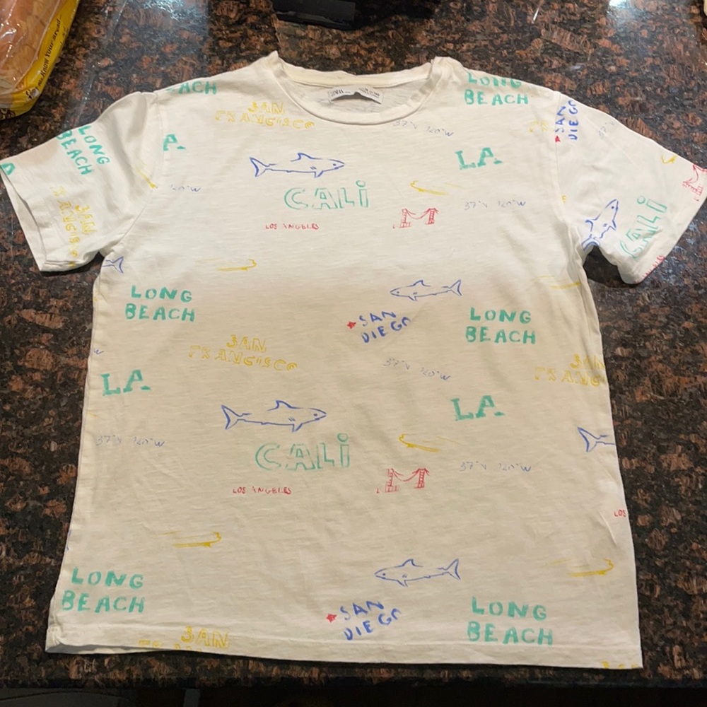 Zara T shirt